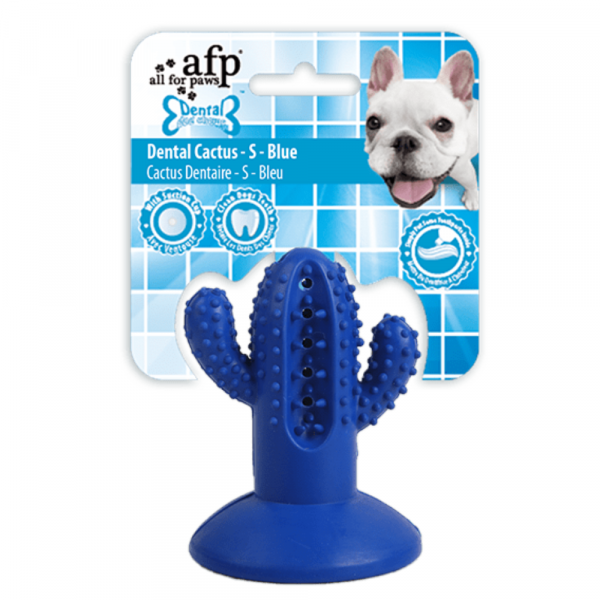 Brinquedo Cão Dental Chews Cactus S Azul