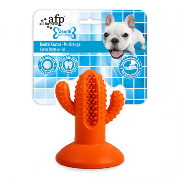Brinquedo Cão Dental Chews Cactus M Laranja