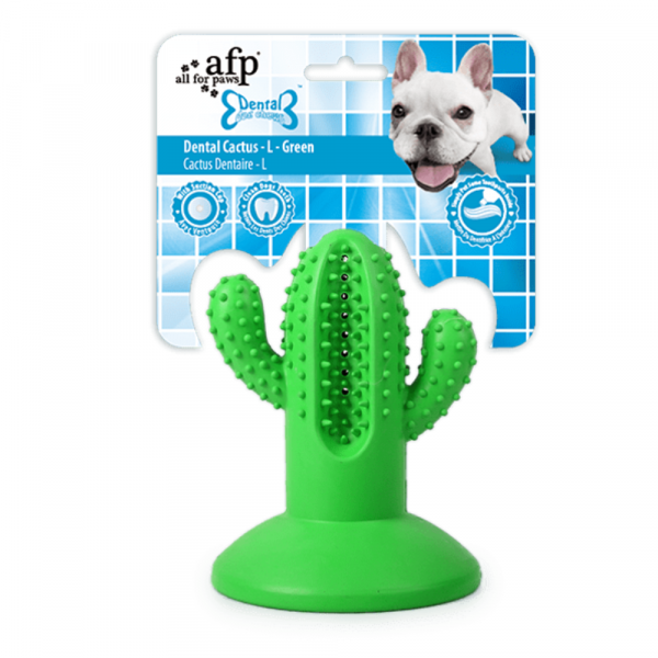 Brinquedo Cão Dental Chews Cactus L Verde