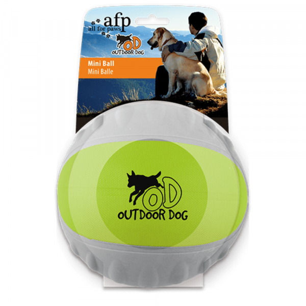 Brinquedo Cão Outdoor - Durafoam Mini Ball 10 CM