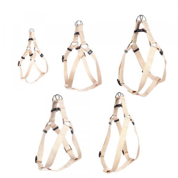Flamingo  Peitoral Step & Go