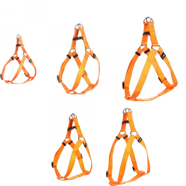 Flamingo Peitoral Step & Go Laranja