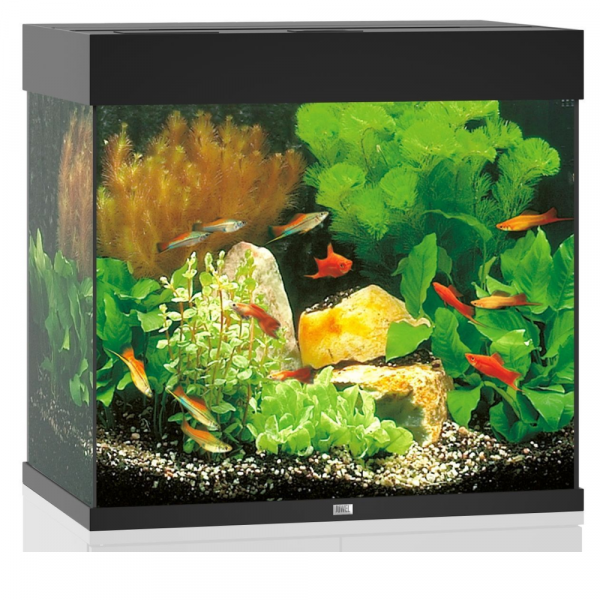 Juwel Aquário Lido 120 LED