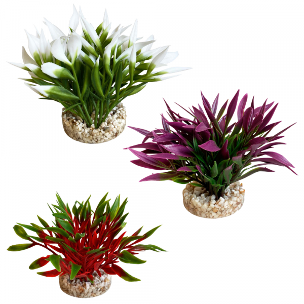 Planta Nano Bush Natural 9 CM