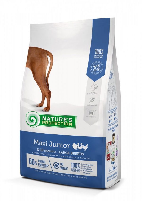 Maxi Junior