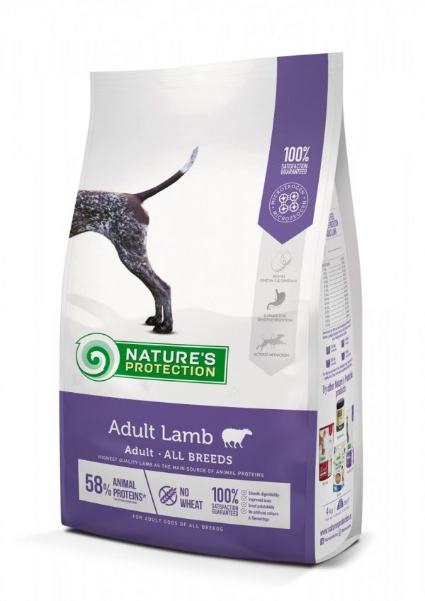 All Breed Adult with Lamb
