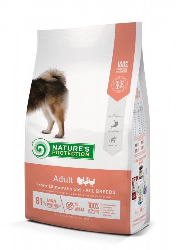 Adult All Breed