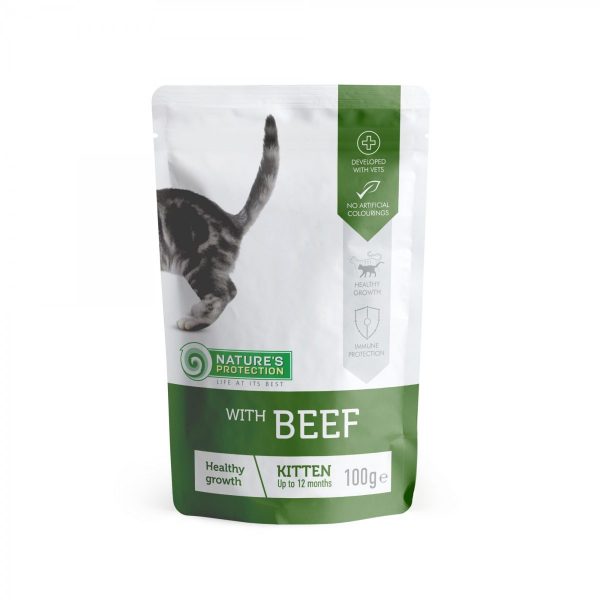 Saqueta Kitten Beef