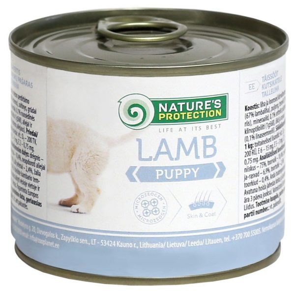 Puppy Lamb