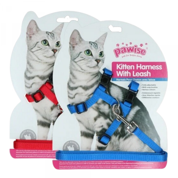 Peitoral + Trela Kitten Vermelha/Azul