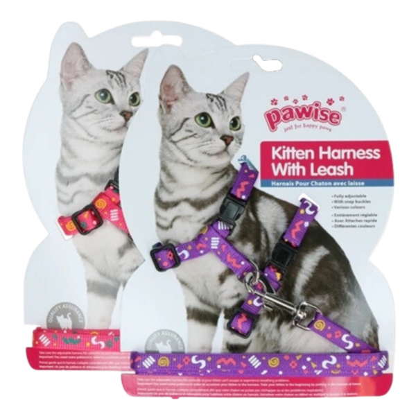 Peitoral + Trela Kitten Rosa/Violeta
