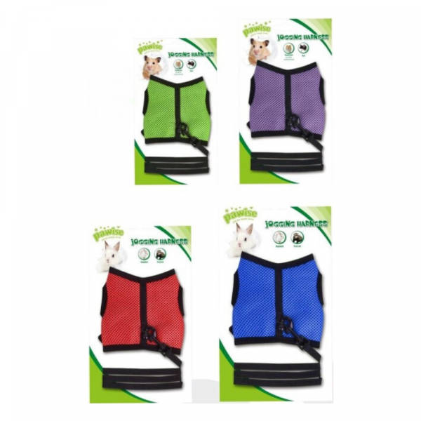 Peitoral Roedores Jogging C/ Trela