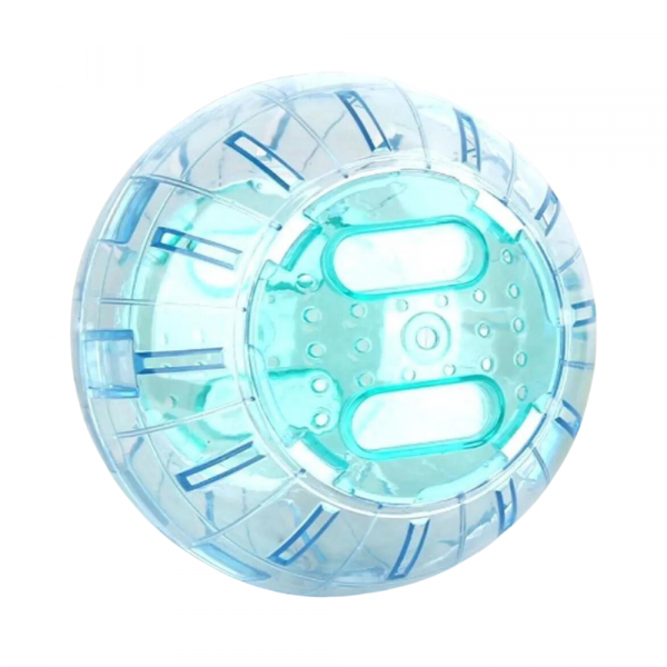 Bola Exercício Roedores