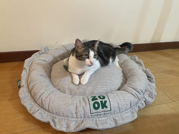 Cama 2 em 1 - Gravel - Image 5