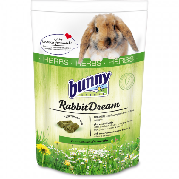 Bunny Sonho Para Coelho Ervas