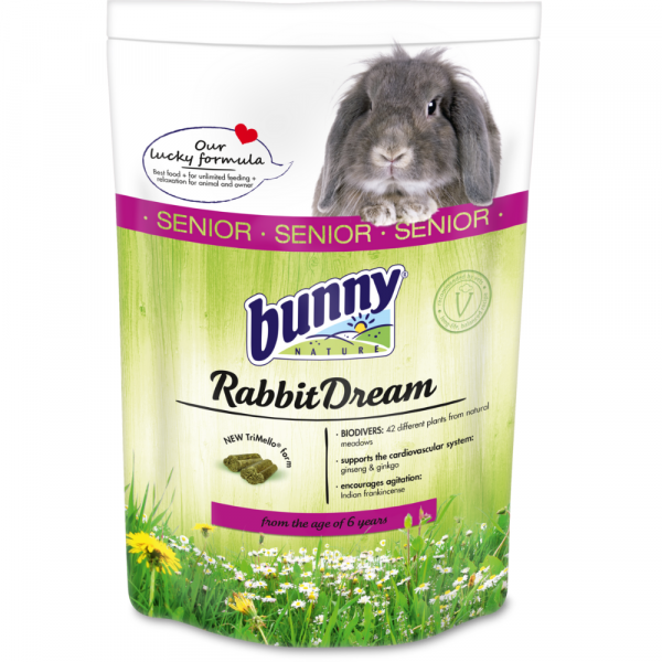 Bunny Sonho Para Coelho Sénior