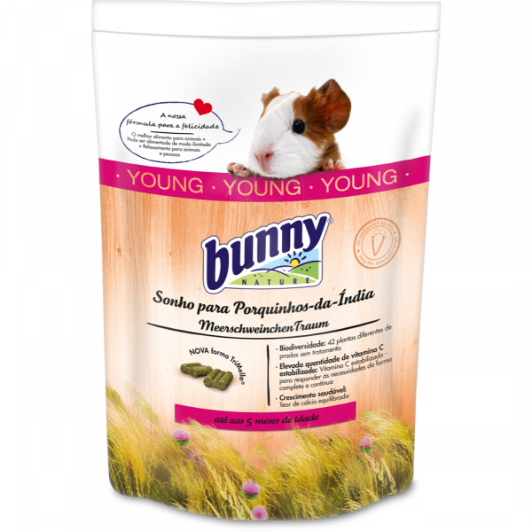 Bunny Sonho Para Porquinho-Da-Índia Jovem