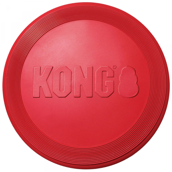 Hunter Kong Frisbee Flyer