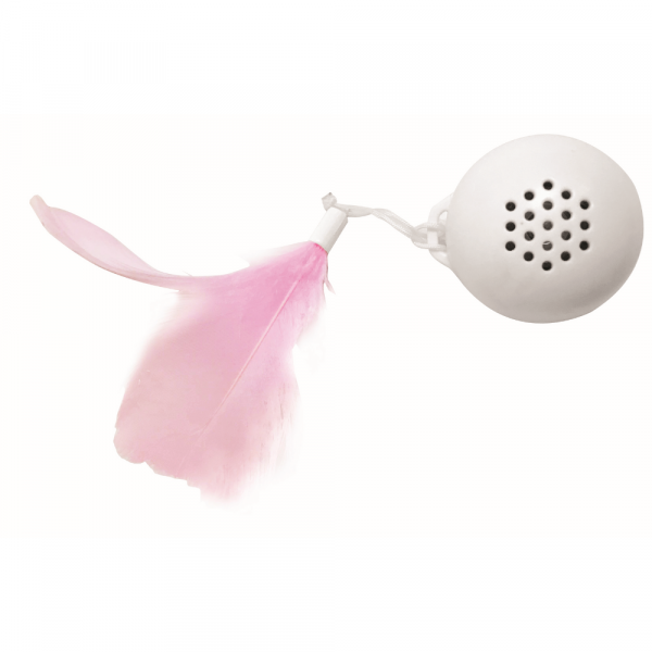 Brinquedo Gato Swing Ball