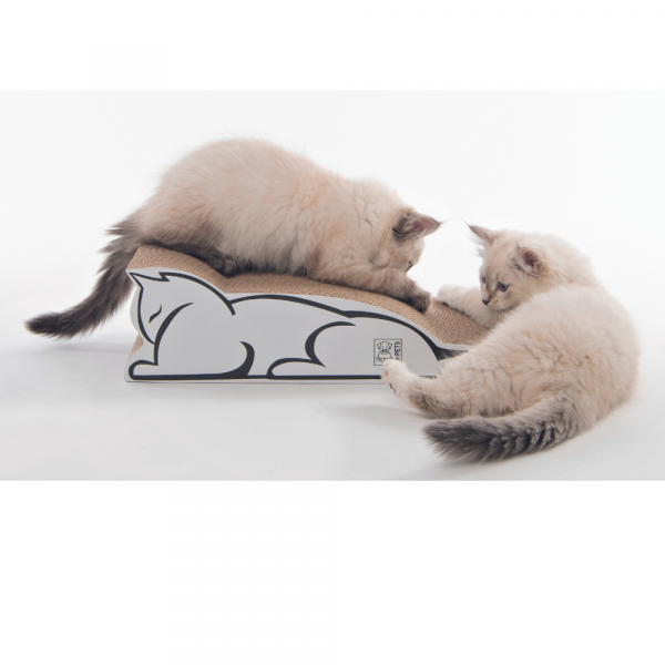 M-Pets Afiador Cartao Baltimore