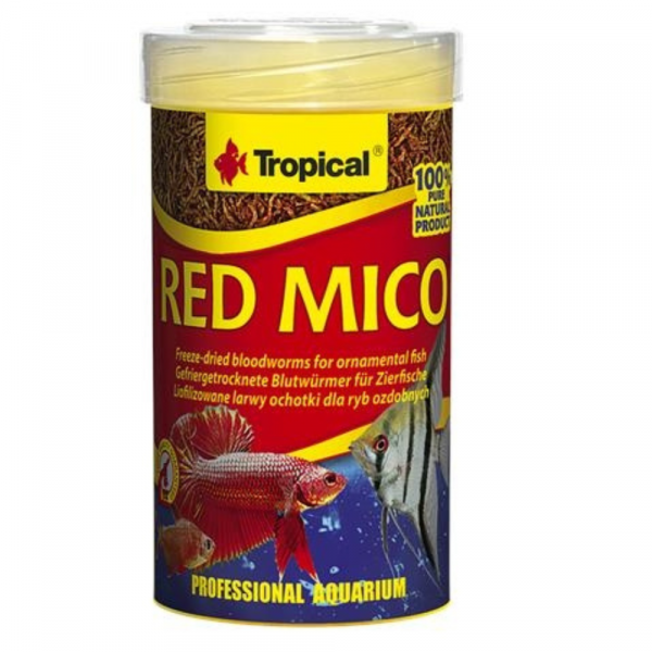 Tropical Red Mico