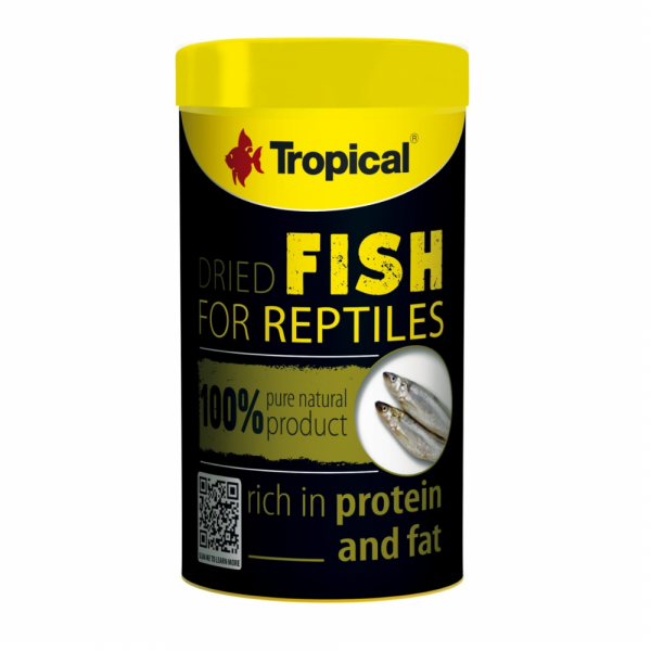 Tropical Dried Fish