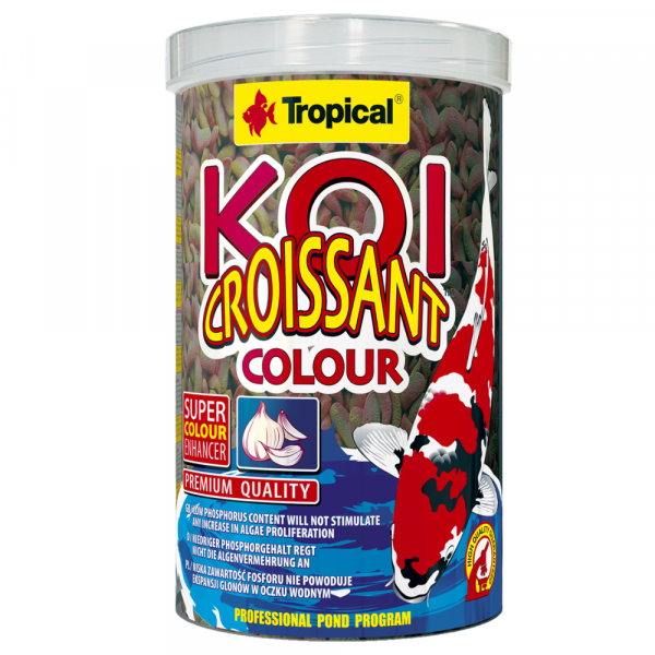 Tropical Koi Croissant Colour