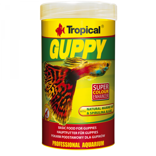 Tropical Guppy