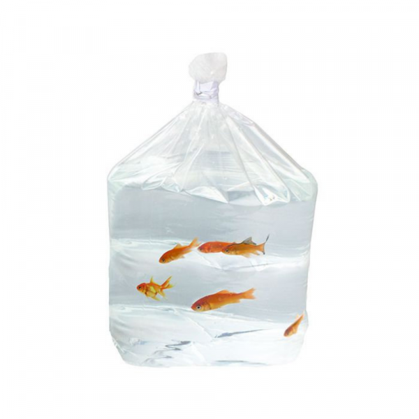 Saco De Transporte De Peixes (Molho- 50 Uni)