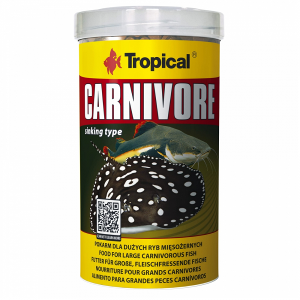 Tropical Carnivore