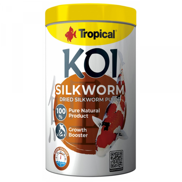 Koi Silk Worm Dried Silkworm Pupae