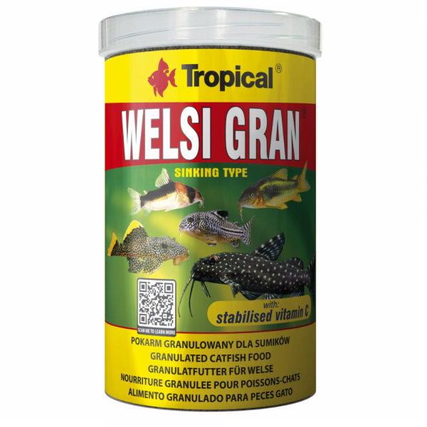 Tropical Welsi Gran