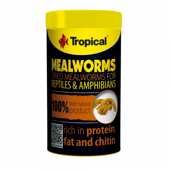 Tropical Meal Worms