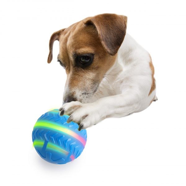 Brinquedo Cão Interativo - Motion Activated Action Ball - Image 3