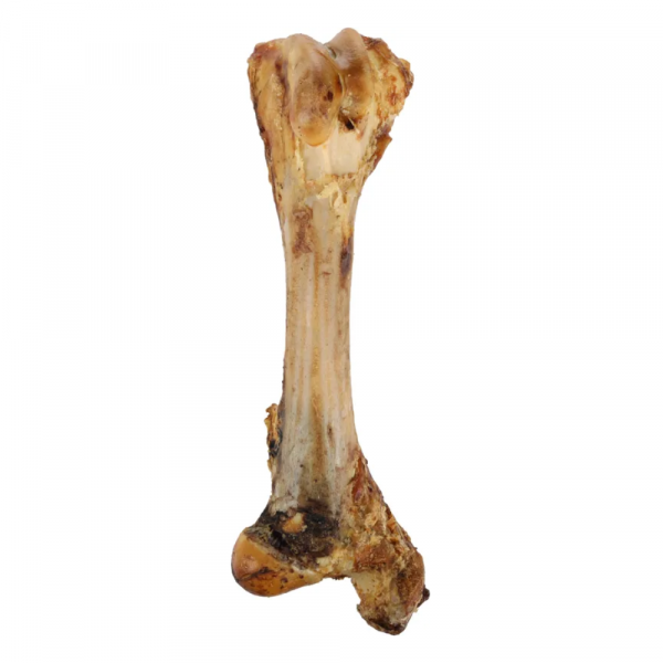 Snack Natural Fleshy Tibia Bone (Jumbo One) 800 GR