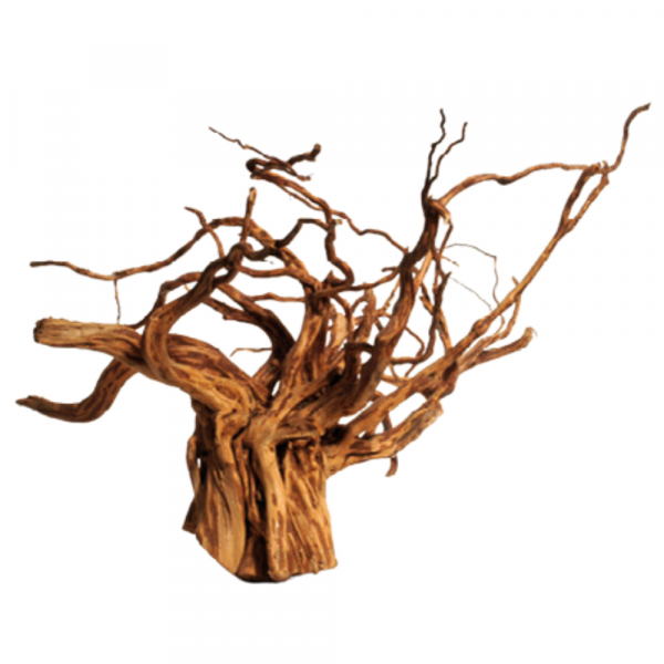 Tronco Red Moor Wood KG