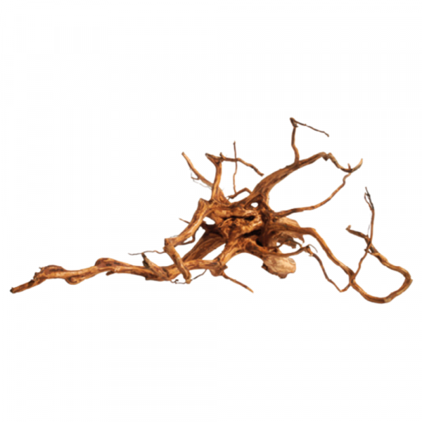 Tronco Red Moor Wood KG - Image 2