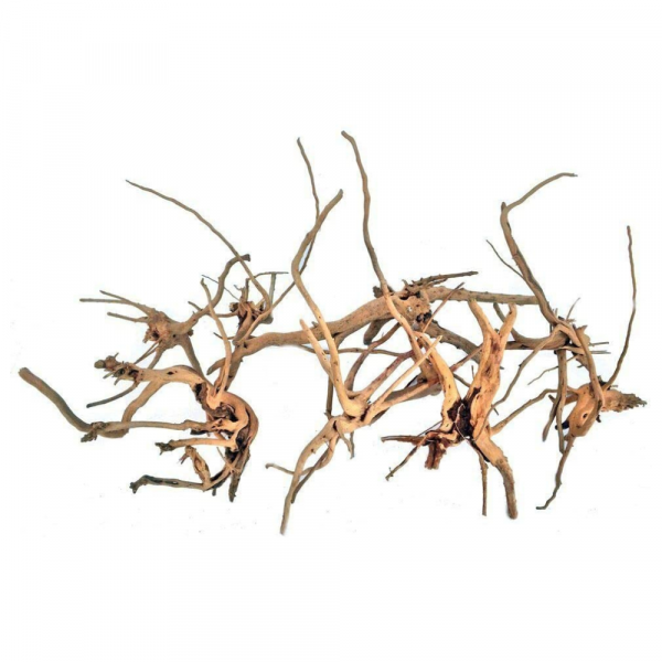Tronco Red Moor Wood Mini (10-20 CM) KG