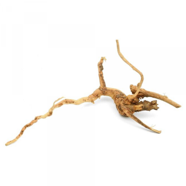 Tronco Red Moor Wood Mini (10-20 CM) KG - Image 2