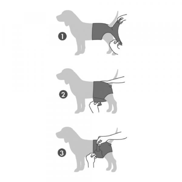 M-Pets Fraldas – Female Dogs - Image 4