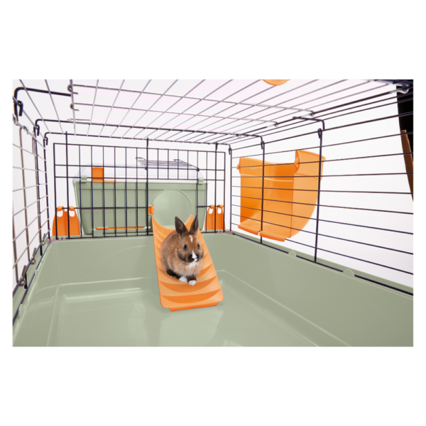 IMAC Sweet Home para Roedores - Image 4